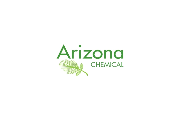 Jarno Kiimala - Project: Outsourcing of Maintenance Case Arizona Chemical