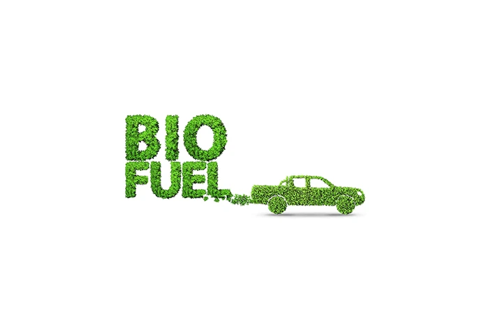 Jarno Kiimala - Project: BioDiesel